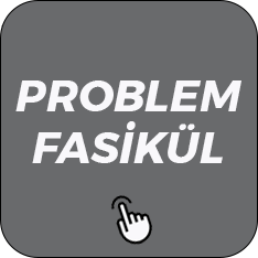 Problem Fasikülleri